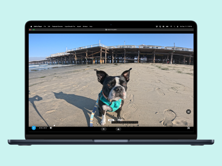 GoPro Player